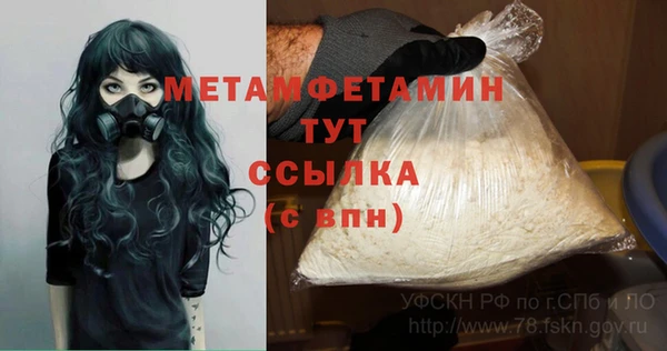 хмурый Няндома