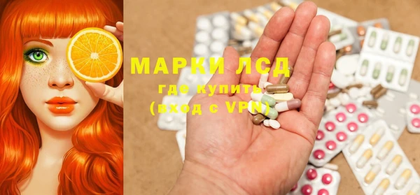 хмурый Няндома