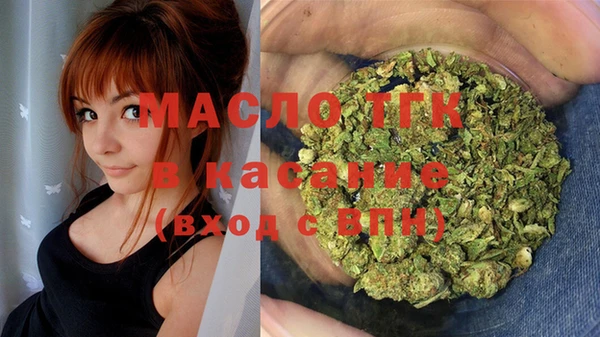 хмурый Няндома