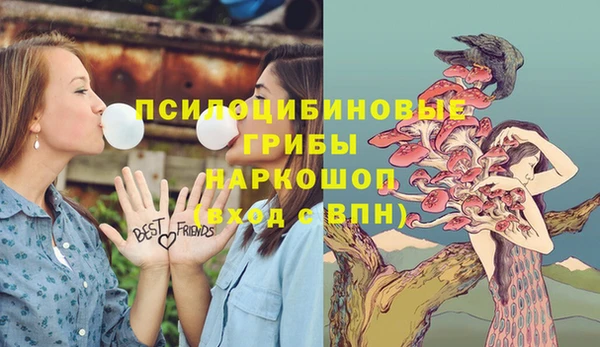 ПСИЛОЦИБИНОВЫЕ ГРИБЫ Осинники