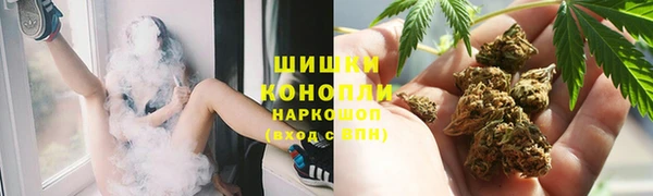 хмурый Няндома