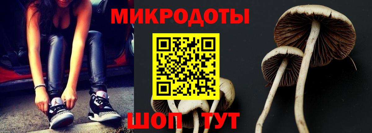 Псилоцибиновые грибы MAGIC MUSHROOMS  Ртищево 